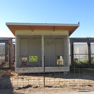 Olympic Game Farm - Cougar Exhibit (rear-view with shelter structure)