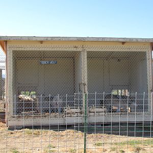 Olympic Game Farm - Grey Wolf Exhibit (rear-view with shelter structure)