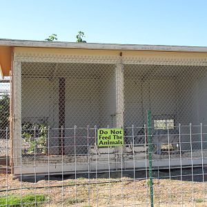Olympic Game Farm - Grey Wolf Exhibit (one of many for wolves)