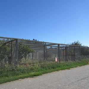 Olympic Game Farm - Row of Grey Wolf Exhibits