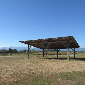 Olympic Game Farm - Fallow Deer/Elk Exhibit
