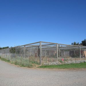 Olympic Game Farm - Predator Row