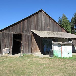 Olympic Game Farm - Barn (with reptile exhibits and old movie props)