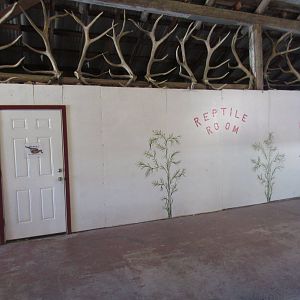 Olympic Game Farm - Reptile Room (inside 200 year-old barn)