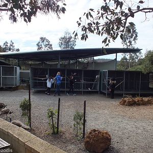 View of Parrot Aviares and Top of Koala Building Behind - Cohunu Koala Park