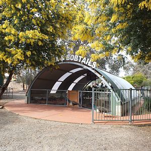 Echidna and Bobtail Enclosure - Cohunu Koala Park
