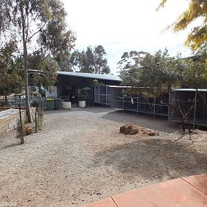 View of the Area Around the Entrance Building - Cohunu Koala Park
