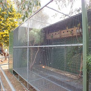 Princess and Superb Parrot Aviary - Cohunu Koala Park