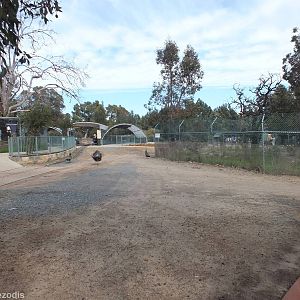 View in the Zoo - Cohunu Koala Park