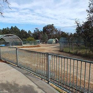 View in the Zoo - Cohunu Koala Park