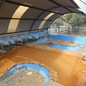 Empty Enclosure, Though Probably Formerly for Crocodiles? - Cohunu Koala Pa