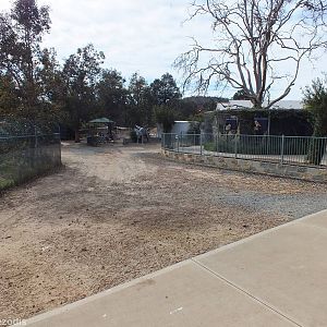 View in the Zoo, showing Stegosaurus! - Cohunu Koala Park