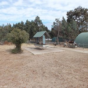 Feeding Area for Free-roaming Emus - Cohunu Koala Park