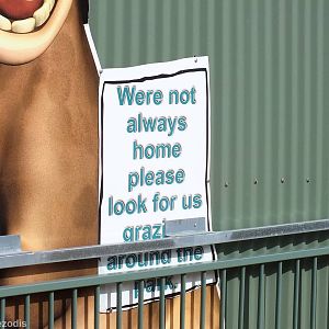 Sign in Domestic Hoofstock Enclosure (which just had the gate left open) -