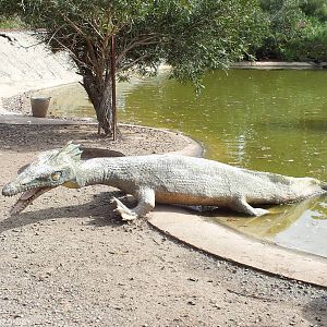 Sea Monster Thing - Cohunu Koala Park