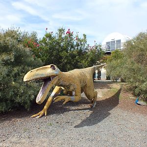 Dinosaur of Some Kind - Cohunu Koala Park