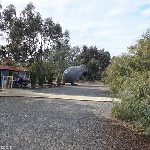View of the Zoo, showing the Giant Quokka to Scale - Cohunu Koala Park