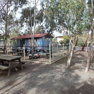 Area of Picnic Benches - Cohunu Koala Park