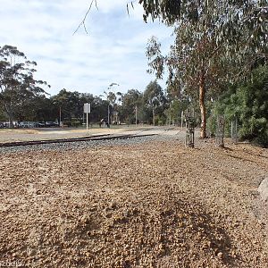 View of Huge Empty Space - Cohunu Koala Park
