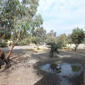 View from the Tiny Parrot Cages showing Sabre-toothed Tiger, Giant Scorpion