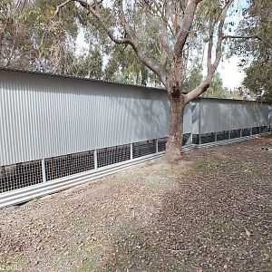 Back of the Tiny Parrot Cages - Cohunu Koala Park
