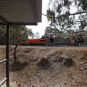 Train - Cohunu Koala Park