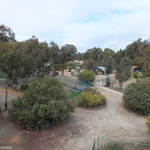 View of the Zoo from the Deep Space Observatory - Cohunu Koala Park