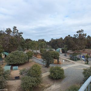 View of the Zoo from the Deep Space Observatory - Cohunu Koala Park