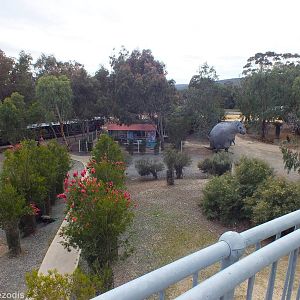View of the Zoo from the Deep Space Observatory - Cohunu Koala Park
