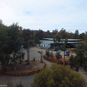 View of the Zoo From the Deep Space Observatory - Cohunu Koala Park
