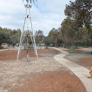 View in Kangaroo, Emu, and Deer Walkthrough - Cohunu Koala Park