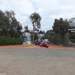 Koala Family - Cohunu Koala Park