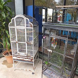 Parrot Cages - Cohunu Koala Park