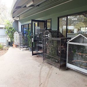 Bird Cages in the Koala Area - Cohunu Koala Park