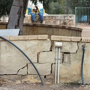 Cracking Wall of Rabbit Enclosure - Cohunu Koala Park