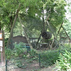 Raccoon enclosure