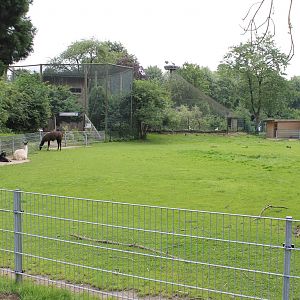 Llama enclosure