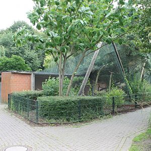Bird of prey aviaries