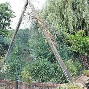 Bird of prey and owl aviaries