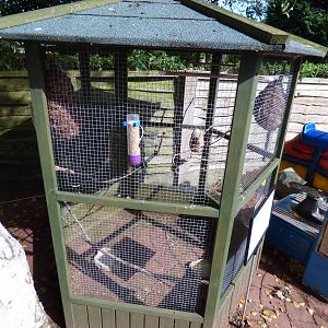 Zebra Finch Aviary by Entrance