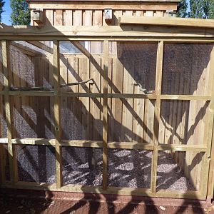 Tropical Screech Owl Aviary