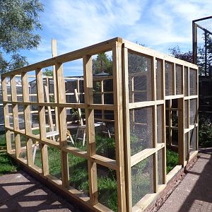 New exhibit for Burrowing Owl