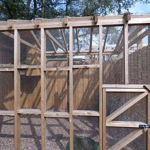 Great Horned Owl Aviaru