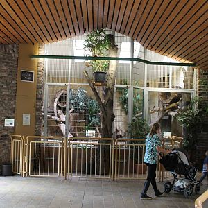 Indoor enclosure Binturong
