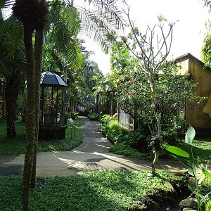 BBP 08/2016: Aviaries