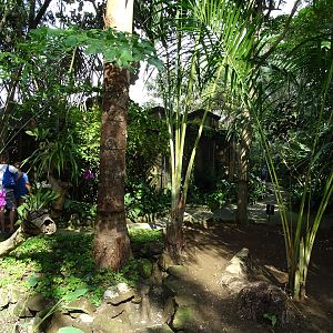 BBP 08/2016: Hornbill enclosures