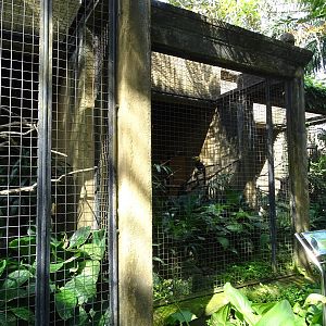 BBP 08/2016: Hornbill enclosures
