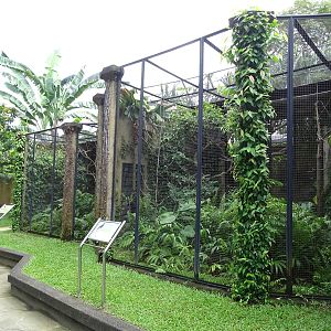 BBP 08/2016: Two of the Bird of Paradise aviaries