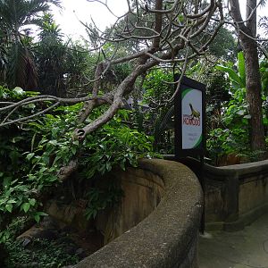 BBP 08/2016: Komodo dragon enclosures