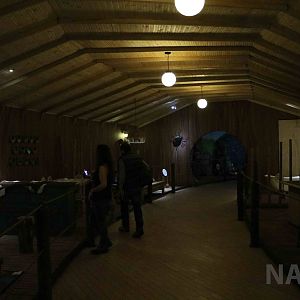 Dr Ariel's world, March 2016